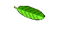 Merchandise